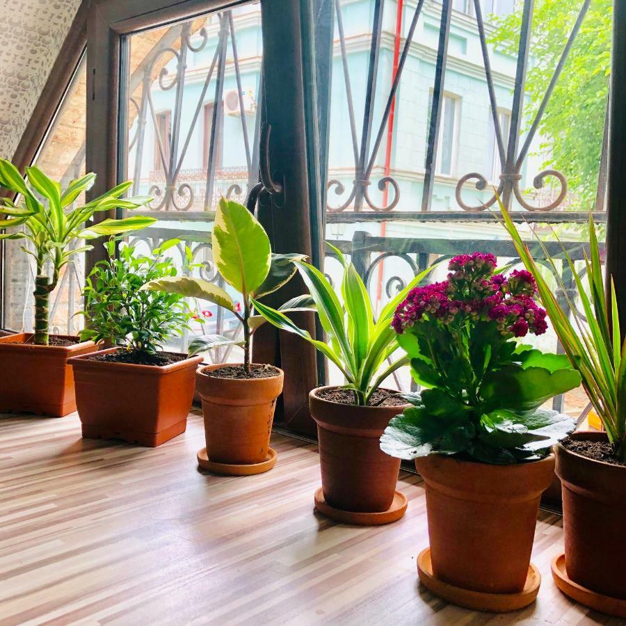 Hb Apartments Akhvelediani II 第比利斯 外观 照片